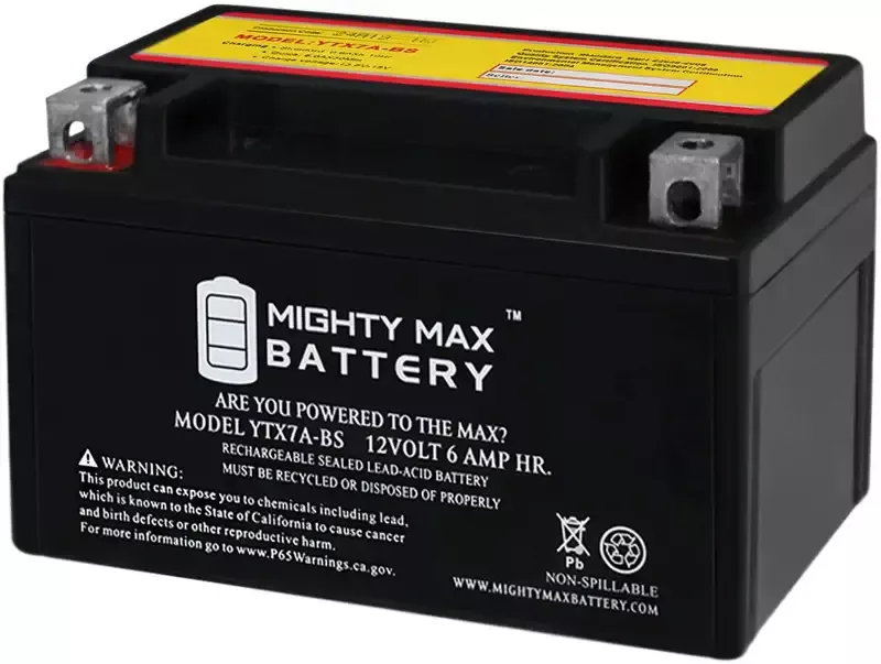 12V6AH Battery for BD125-10 | Vader 125cc Replacement 12V Battery