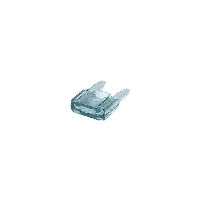 2 Amp Gray Mini Fuse for Harley-Davidson