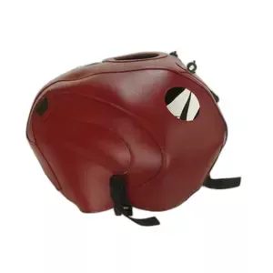 BagsterMotorcycle tank protector r 850 / 1100 r