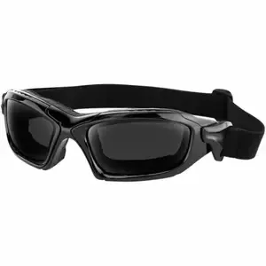 BobsterInterchangeable Diesel Goggles