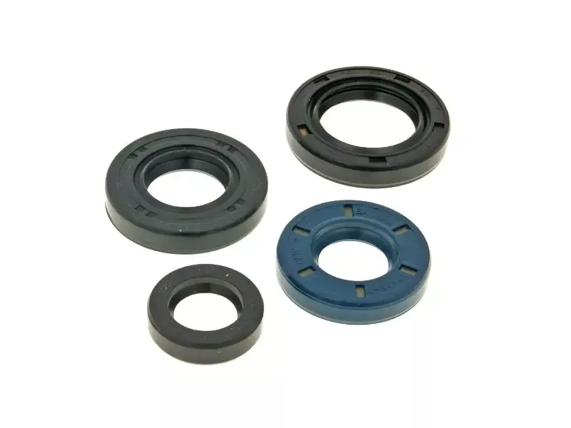 Genuine buddy / rough house oil seal kit