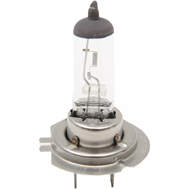 H7 55W Halogen Headlight Bulb
