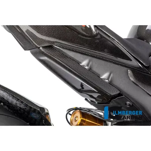Ilmberger Carbon Fiber Under Tank Protection for Panigale V4 V4S V4R