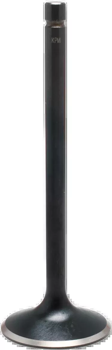 KIBBLEWHITE VALVES, VALVE GUIDES AND SPRINGS INTAKE VALVE SS STD 79-82
