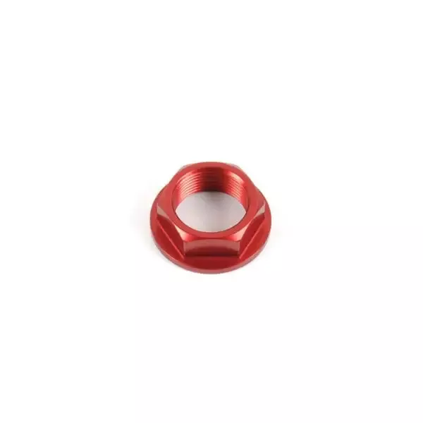 LighTech Swing Arm Pivot Shaft Nut for BMW S1000RR M1000RR