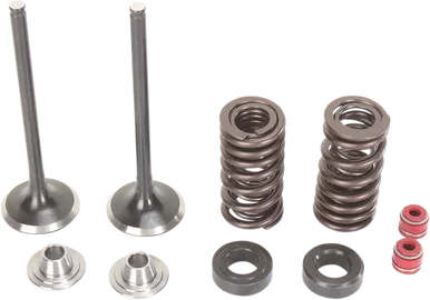MOOSE RACING Valve and Spring Kit M30-31760
