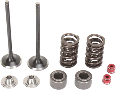 MOOSE RACING Valve and Spring Kit M30-31860