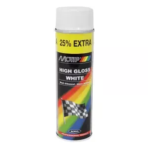 MotipSpray paint Pro (04004)