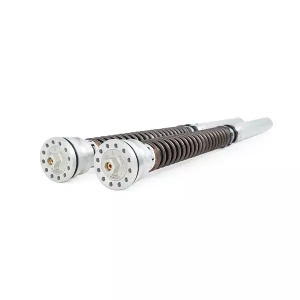Ohlins FKR 124 Pressurized Front Fork Cartridge Kit for Panigale V4R