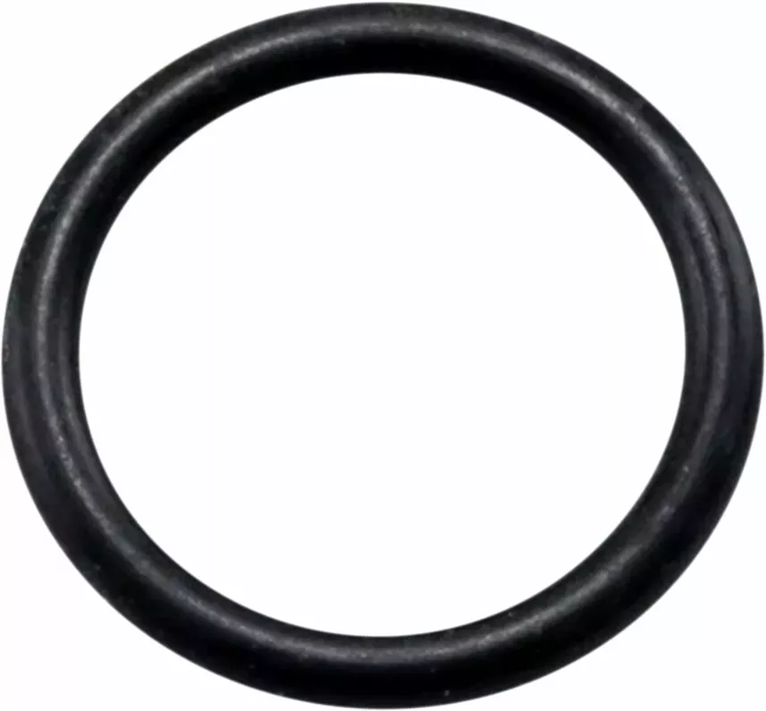 Oil Drain Plug Gasket for Harley-Davidson Revolution Max