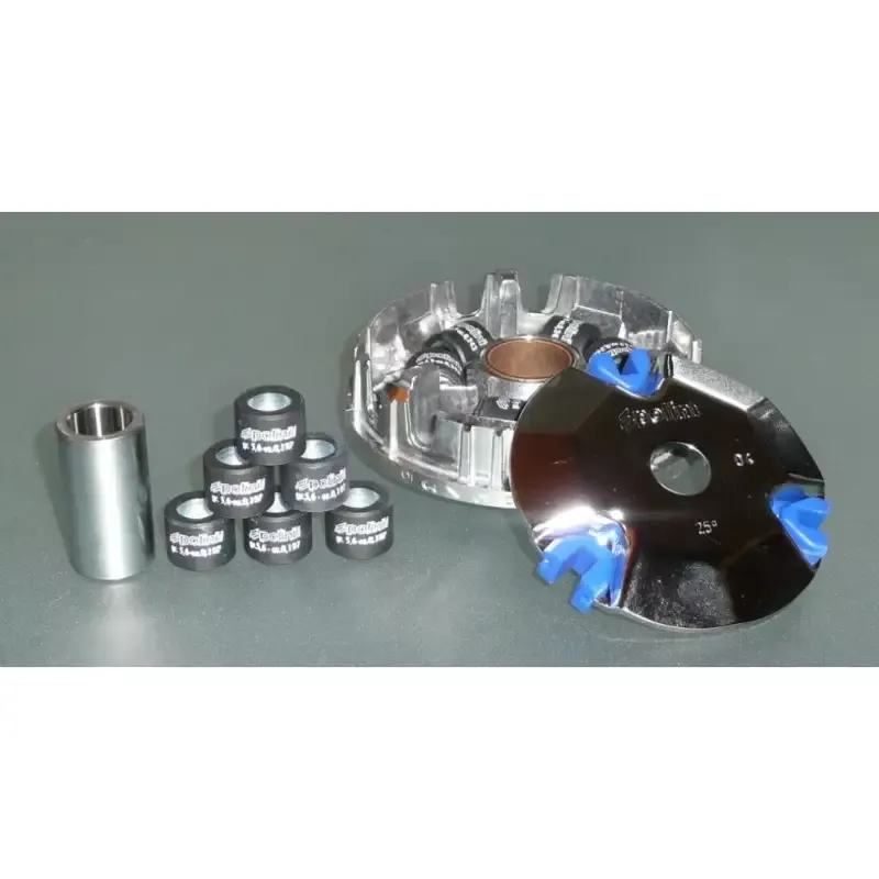 Polini variator ruckus