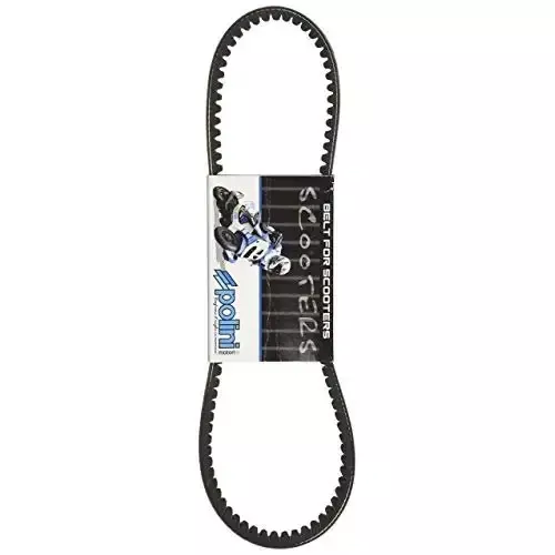 Polini ZUMA belt minarelli