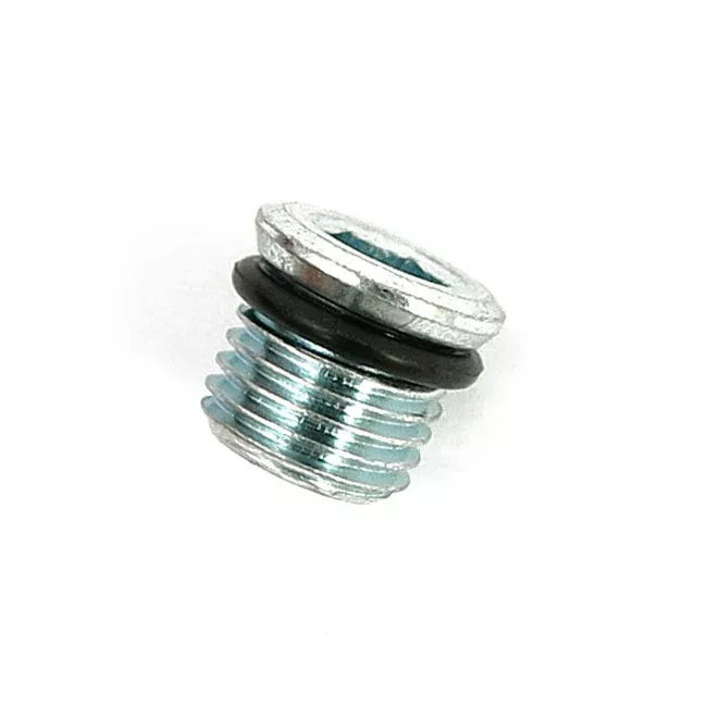 Primary Drain Plug for Harley-Davidson Twin Cam 2004-2006
