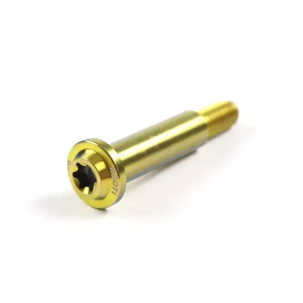 Proti Titanium Pivot Bolt for Brembo RCS 19 – Gold