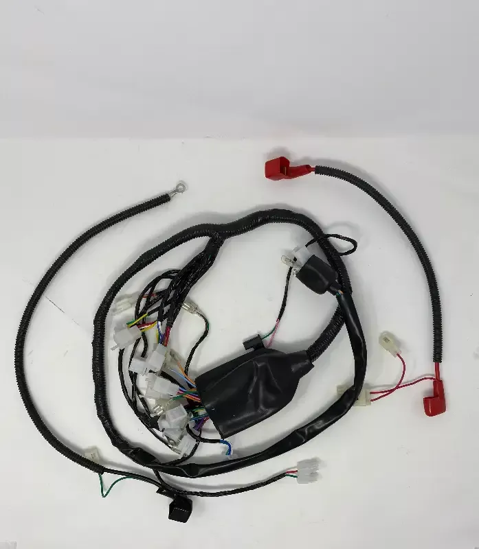 Wiring Harness for BD125-11 | Venom X22 125cc Complete Wiring Harness