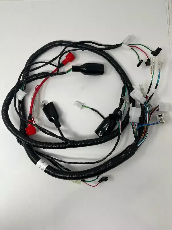 Wiring Harness for DF250RTS | Venom X22R Complete Wiring Harness